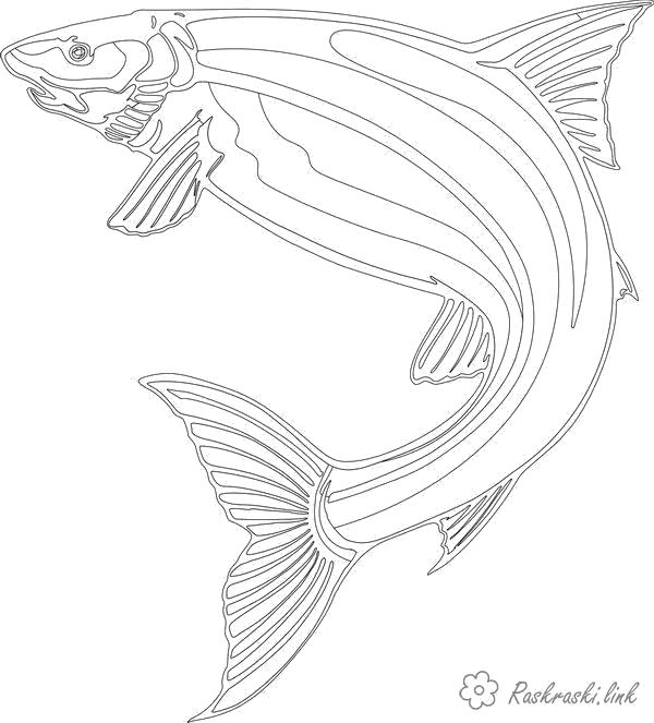 Раскраска Раскраски Подводный мир раскраска рыба. Рыбы