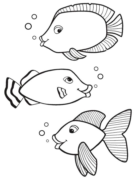 Раскраска Рыбы. рыба