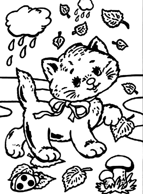 Раскраска Котёнок. Домашние животные