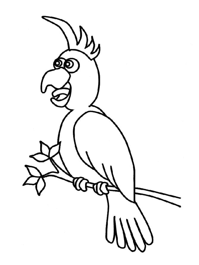 Название: Раскраска Разукрашка попугай. Категория: попугай. Теги: попугай.