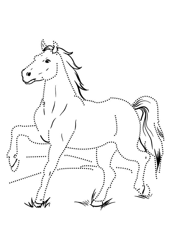 Раскраска Картинки лошадей . Домашние животные
