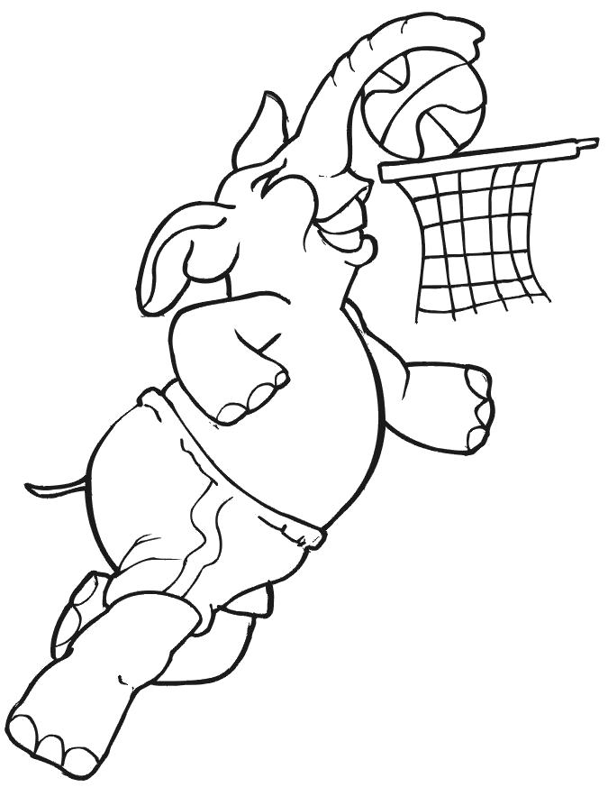 Название: Раскраска Раскраски слоник играет в баскетбол. Категория: Дикие животные. Теги: слон.