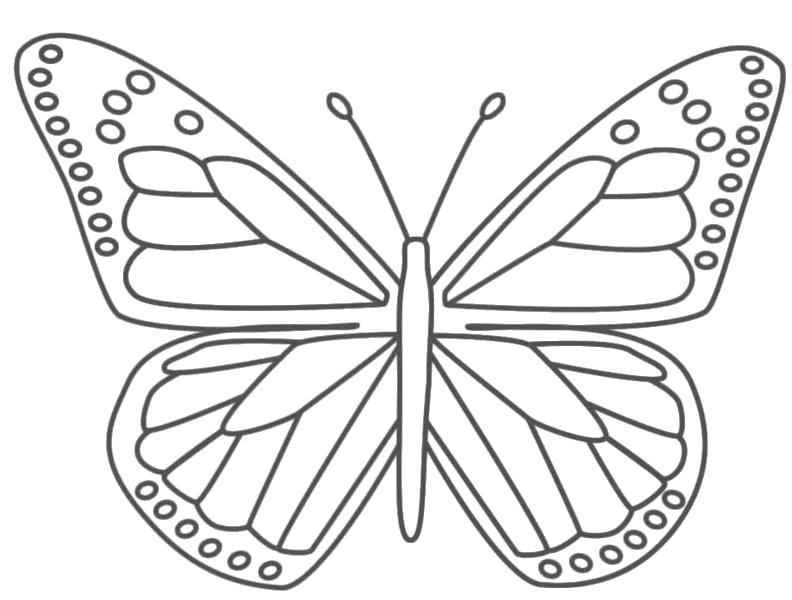 Раскраска Раскраски "бабочка" скачать и распечатать бесплатно. 