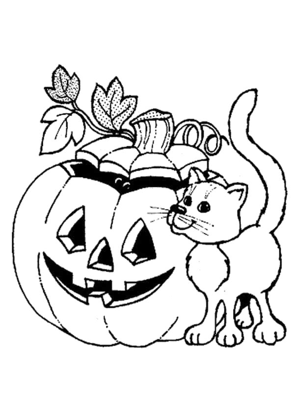 Раскраска Раскраски на Хэллоуин. кот около тыквы. Хэллоуин