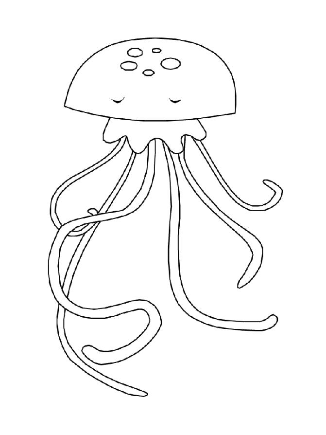 Название: Раскраска Медуза. Категория: Морские животные. Теги: медуза.