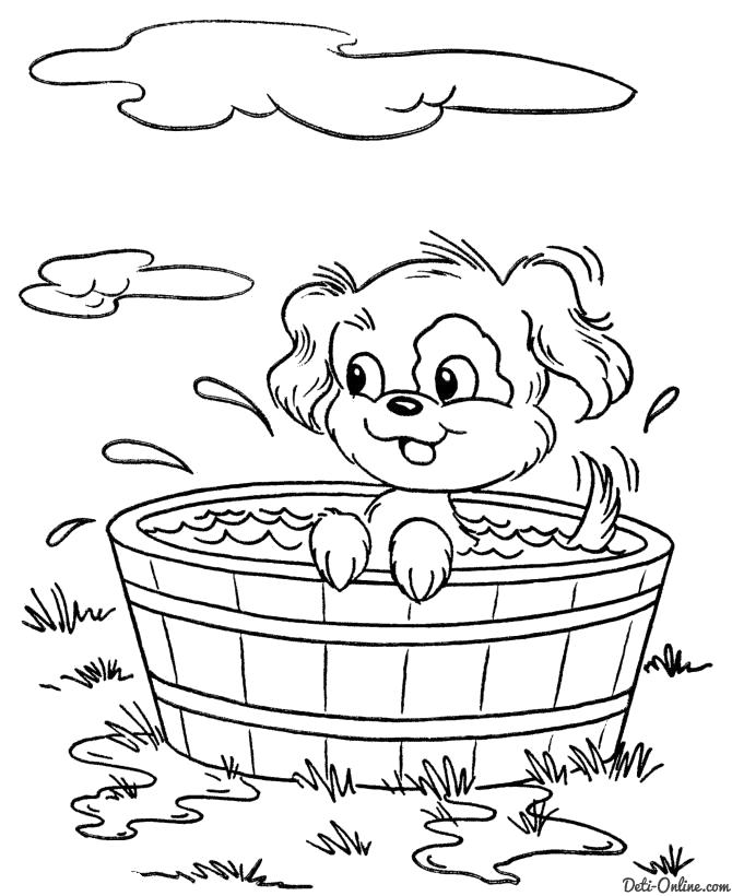 Название: Раскраска  Собачка плескается в ванночке. Категория: Собаки. Теги: Собаки.
