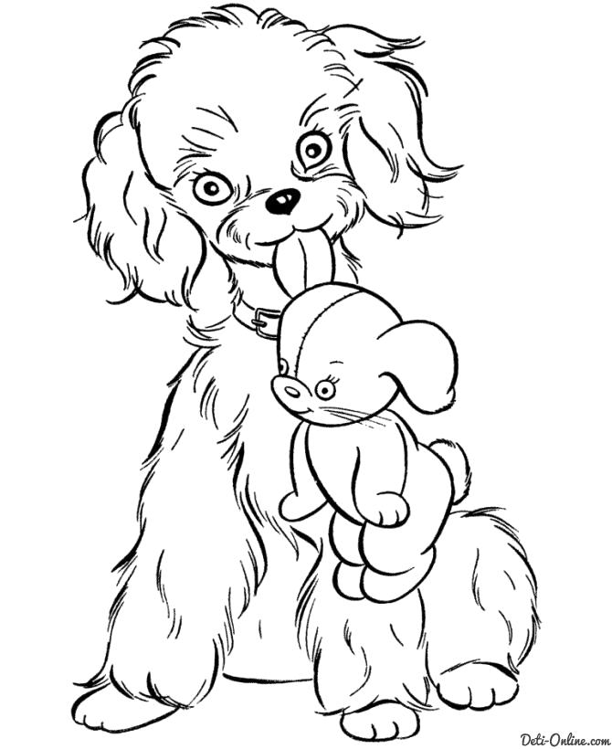 Раскраска  Собака с игрушкой. Домашние животные