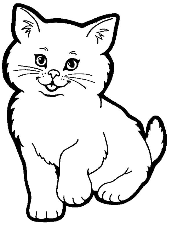 Раскраска Раскраски котов и котят. Домашние животные