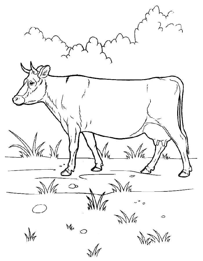 Название: Раскраска Раскраска корова, корова посется. Категория: Корова. Теги: Корова.