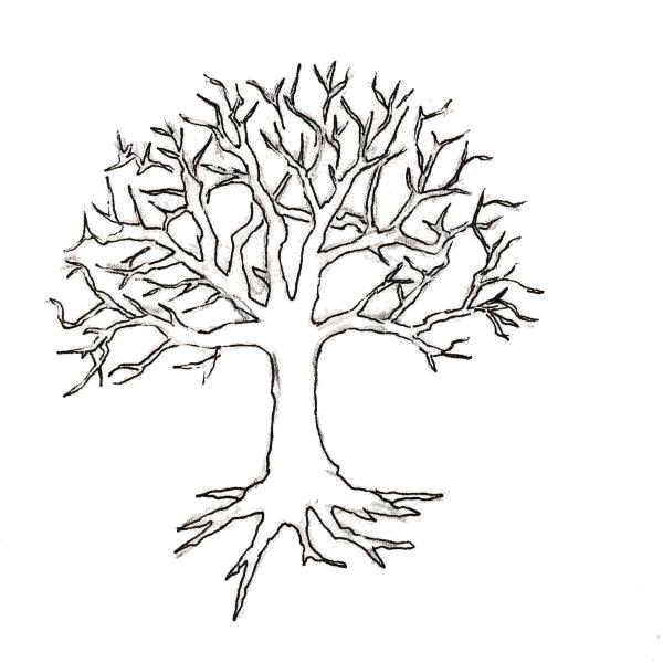 Название: Раскраска Раскраски "дерево без листьев" скачать и распечатать бесплатно. Категория: Контуры дервеьев. Теги: дерево.