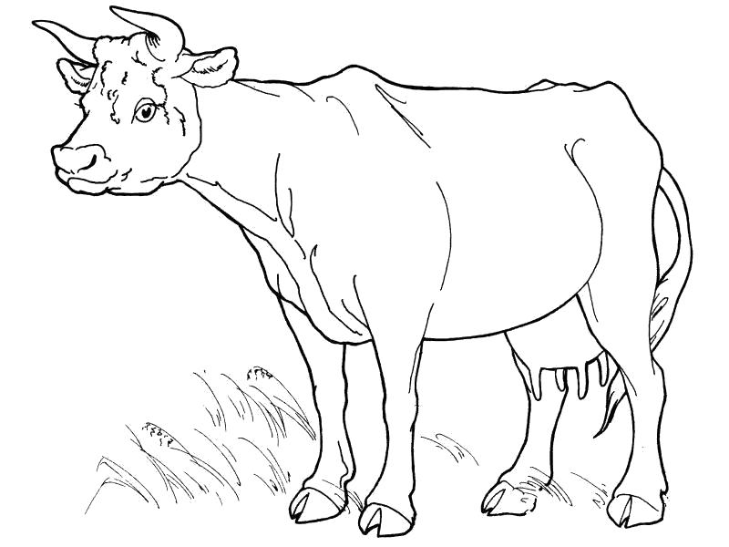 Название: Раскраска Коровка в траве. Категория: Домашние животные. Теги: Корова.