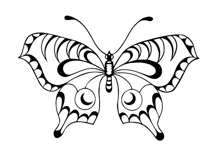 Раскраска бабочка трафарет. Бабочки