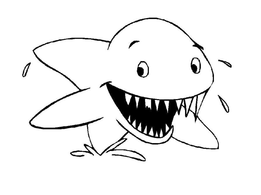 Название: Раскраска Раскраска Акула. Категория: Морские животные. Теги: Акула.