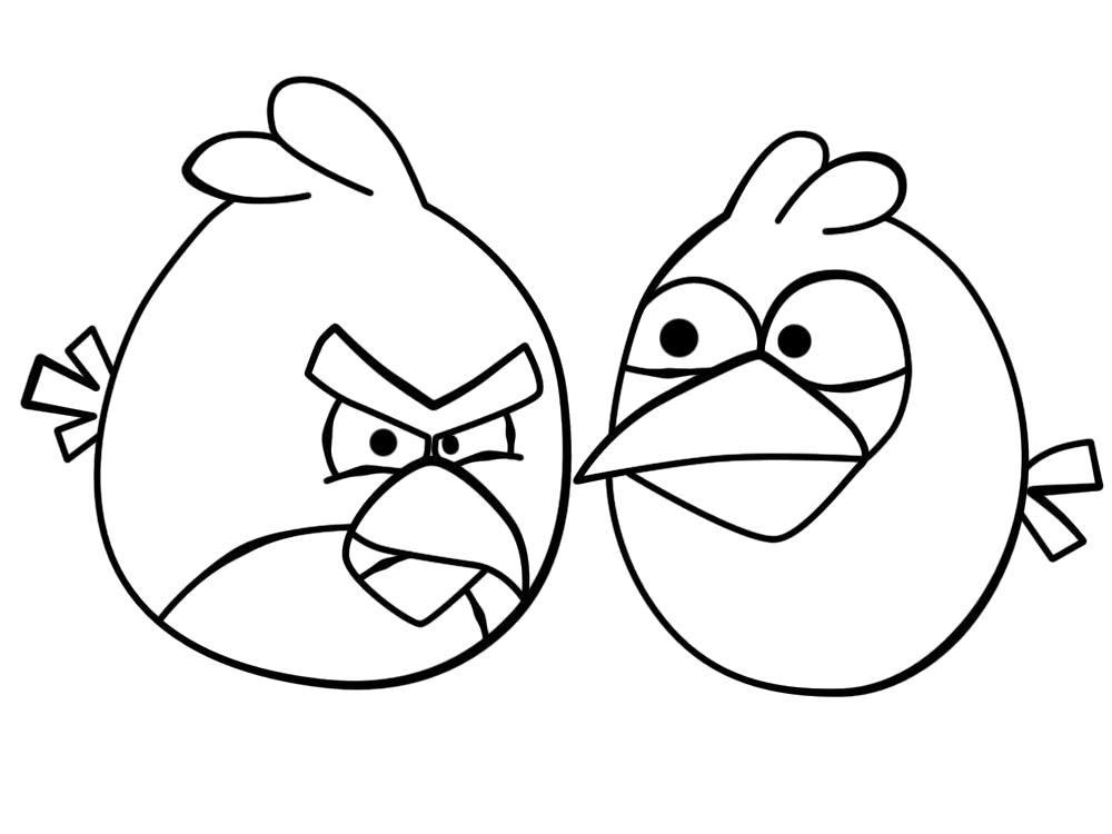 Раскраска Angry birds птички. Скачать энгри берд.  Распечатать энгри берд