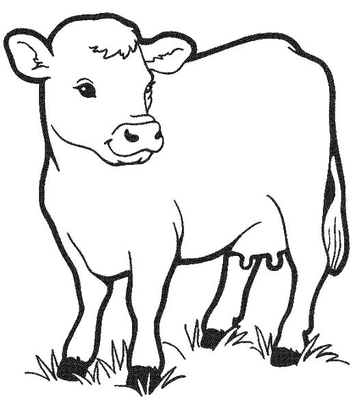Название: Раскраска Телёночек. Категория: Домашние животные. Теги: Корова, Телёнок.