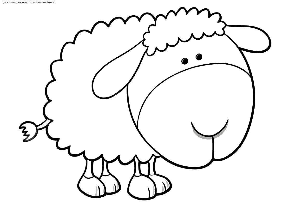Название: Раскраска Овечка. Категория: Домашние животные. Теги: Овца.