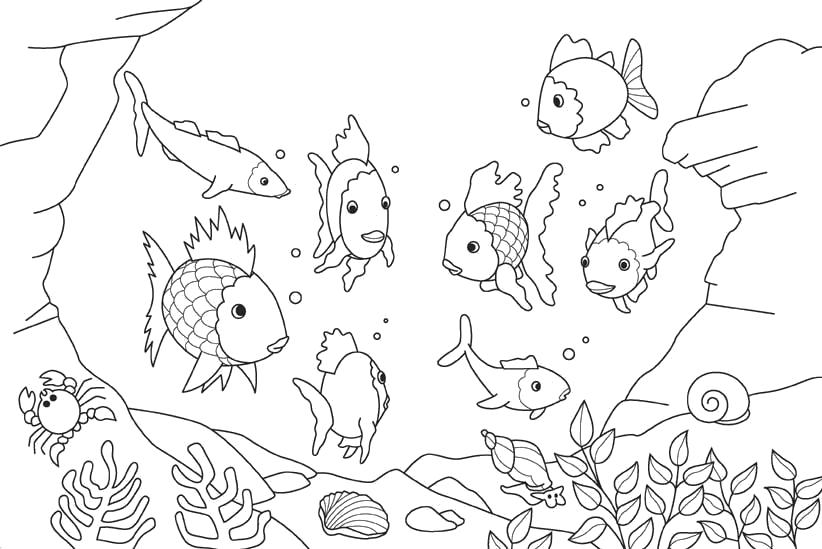 Раскраски с водными животными. Картинки животных, рисунки животных