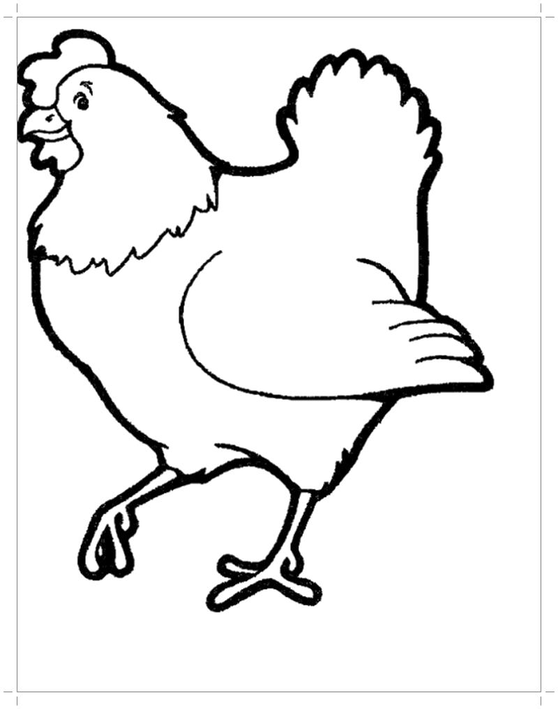 Раскраска Черная курица . Домашние животные