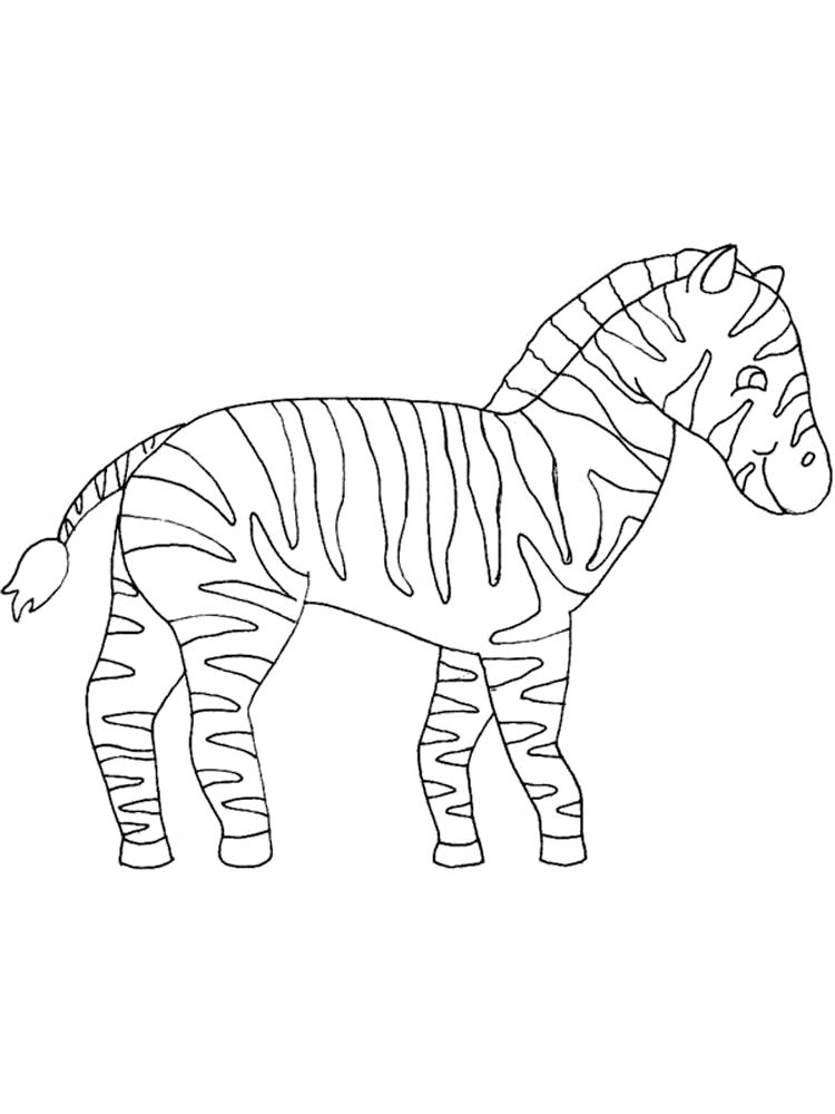 Название: Раскраска . Категория: зебра. Теги: зебра.