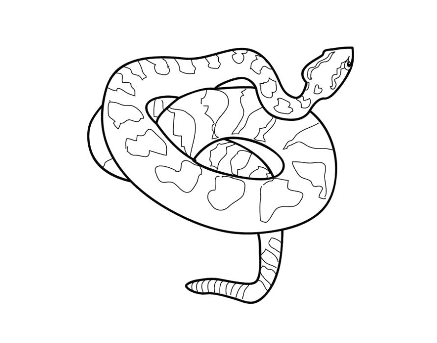 Раскраска Раскраска змея для детей. Питон. Змея