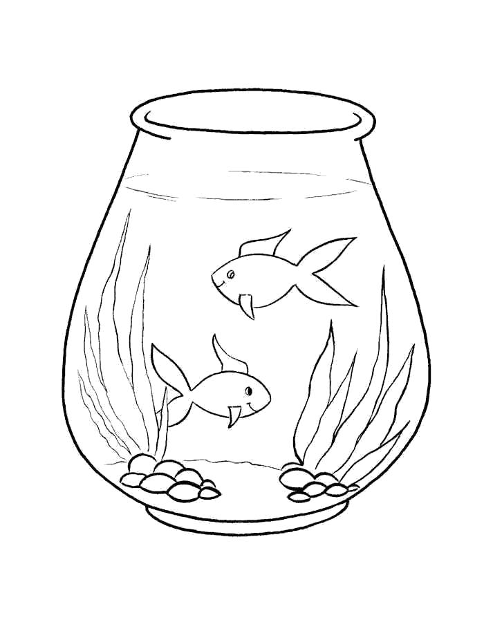 Раскраска Раскраска аквариум с рыбками. Аквариумные рыбы