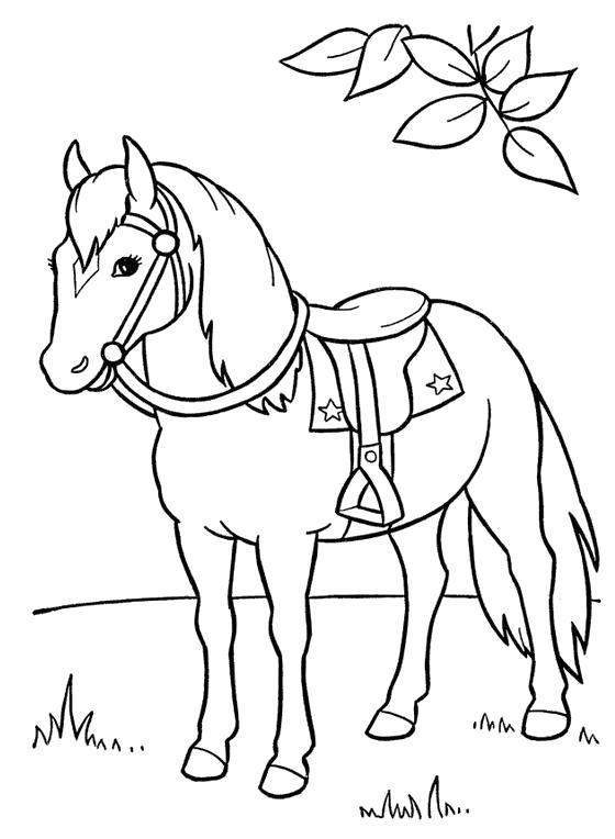 Раскраска раскраска конь с седлом. 