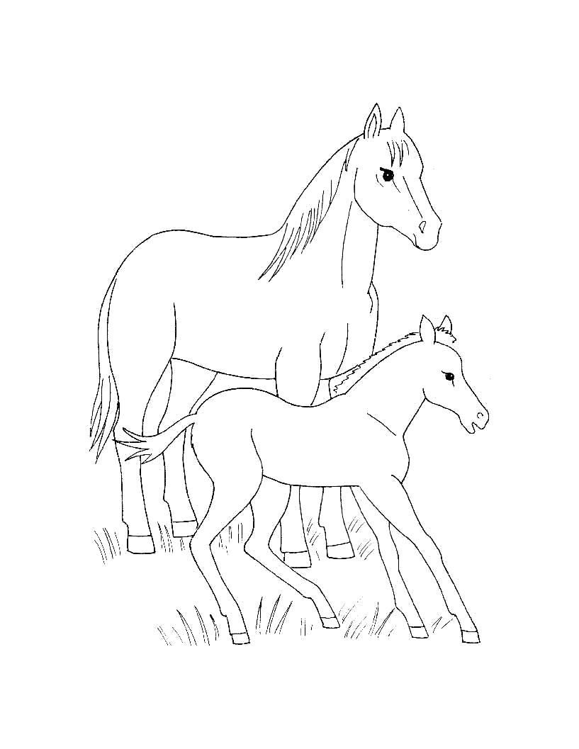 Раскраска Раскраски для самых маленьких  Домашние животные. Лошадь и жеребенок. Домашние животные