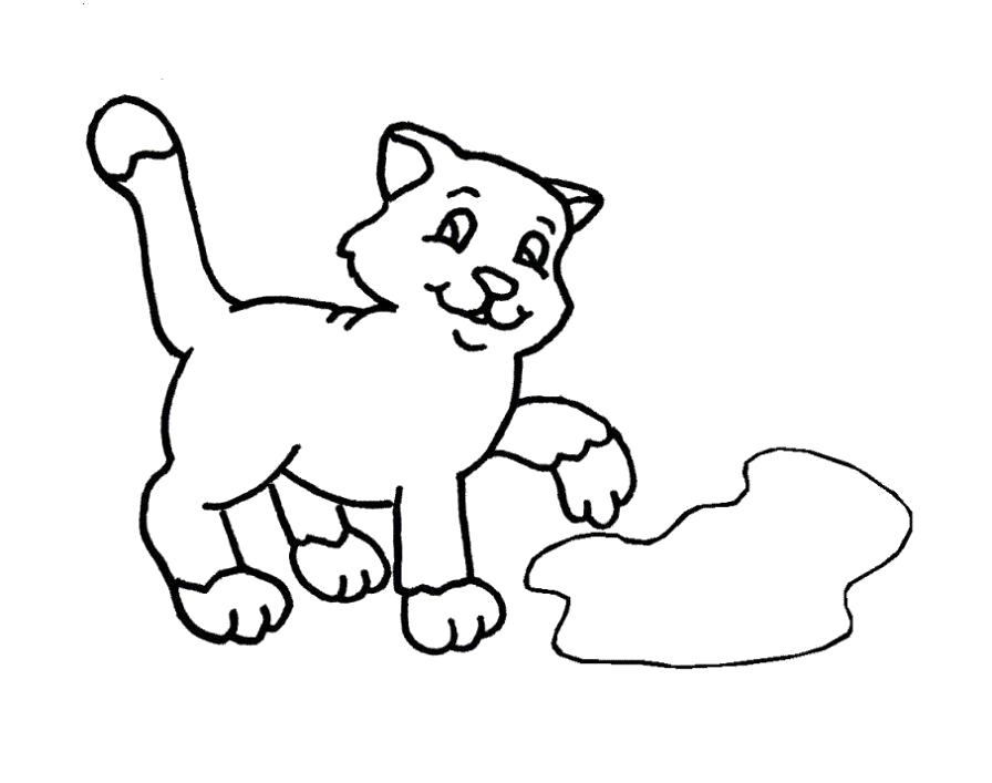 Раскраска  котенок у лужицы. Домашние животные