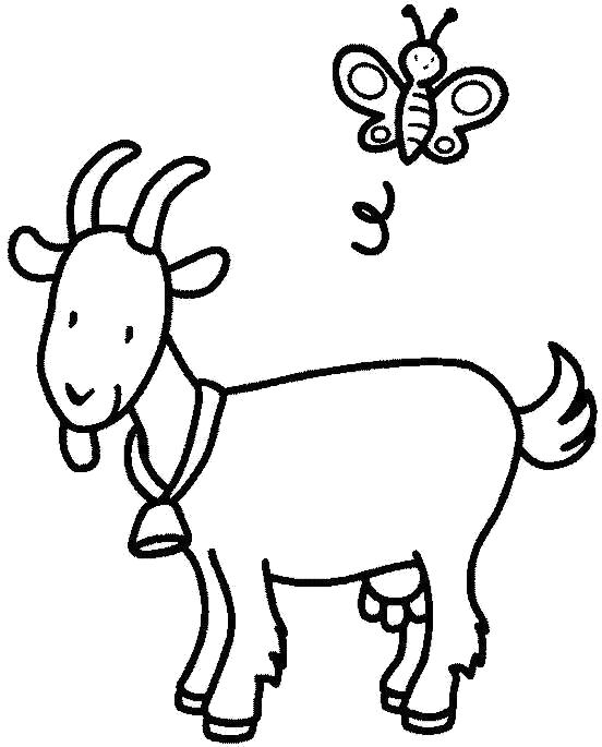 Название: Раскраска коза и бабочка. Категория: Домашние животные. Теги: Коза.