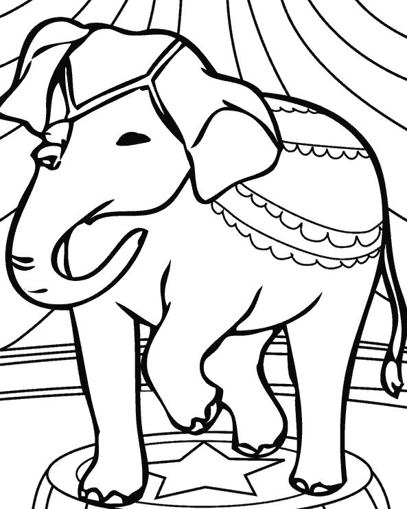 Раскраска Индийский цирковой слон. Скачать слон.  Распечатать Дикие животные