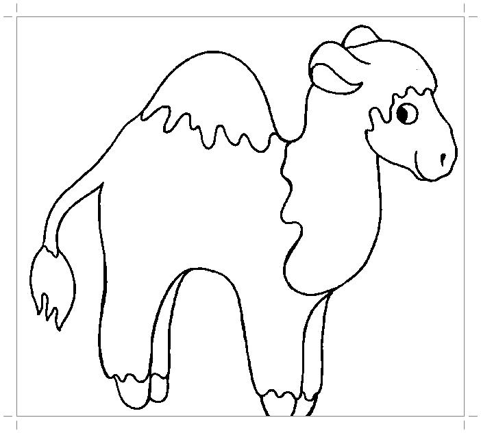 Раскраска Верблюд - раскраска для самых маленьких. Верблюд