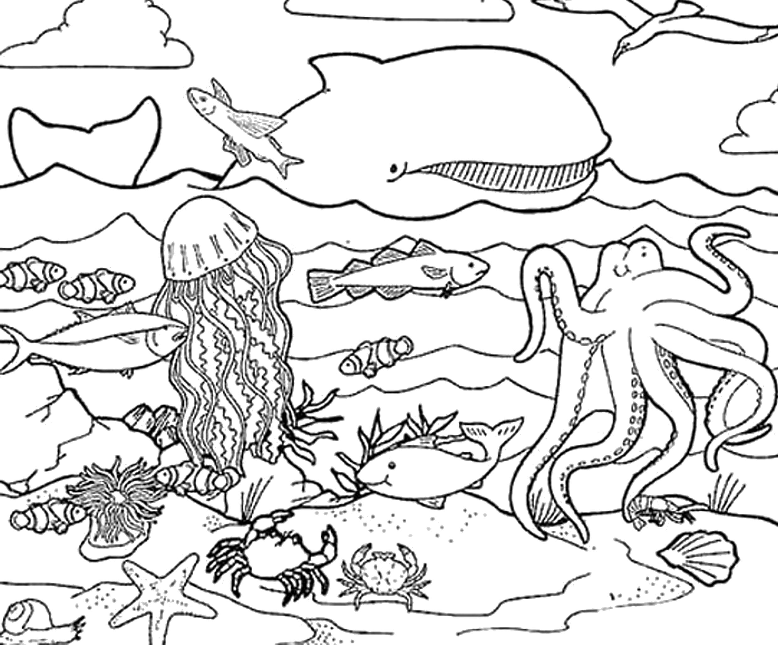 Раскраска Жители моря . Скачать Кит, осьминог, медуза, Рыбы, морская звезда.  Распечатать Морские животные