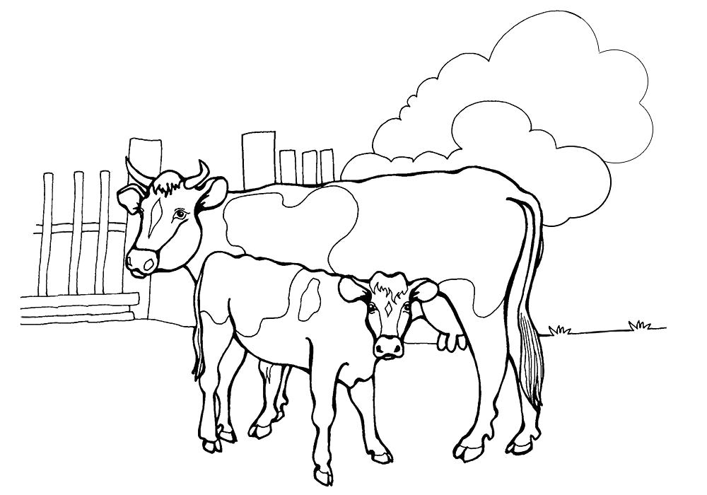 Раскраска  корова с телёнком. Скачать Корова, Теленок.  Распечатать Домашние животные