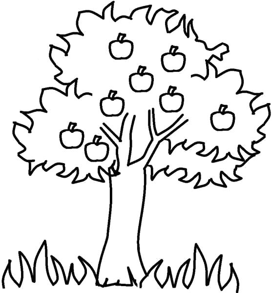 Раскраска  "дерево с яблоками" скачать и распечатать бесплатно. Скачать дерево.  Распечатать Контуры дервеьев