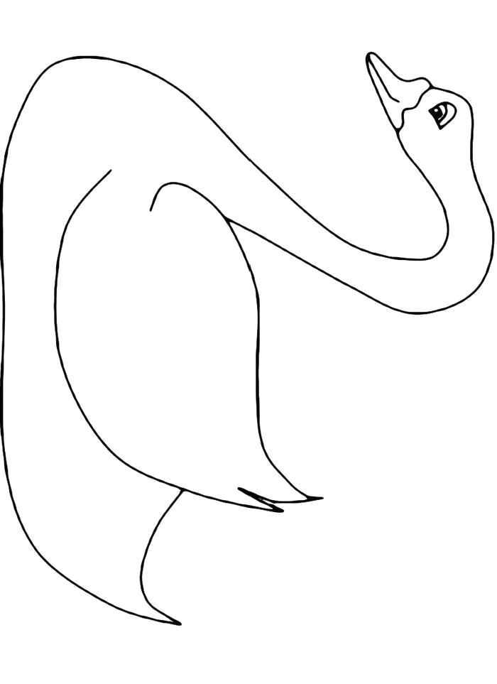 Раскраска Раскраска Большой лебедь. Лебедь