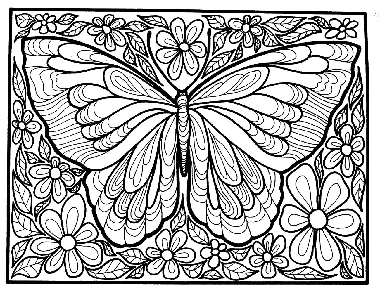 Раскраска бабочка для взрослых. 