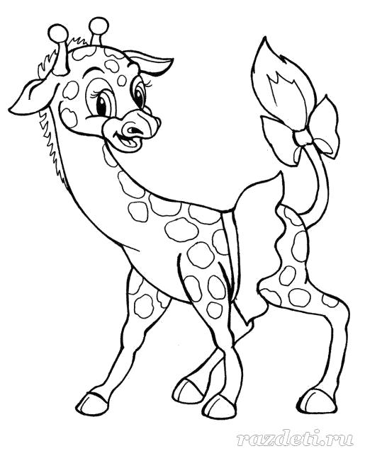 Название: Раскраска Раскраска. Жирафик с бантиком. Категория: Дикие животные. Теги: жираф.