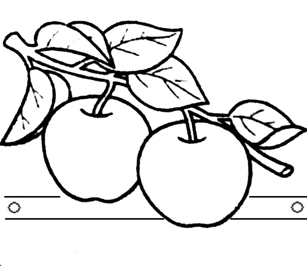 Раскраска Раскраски яблок. 