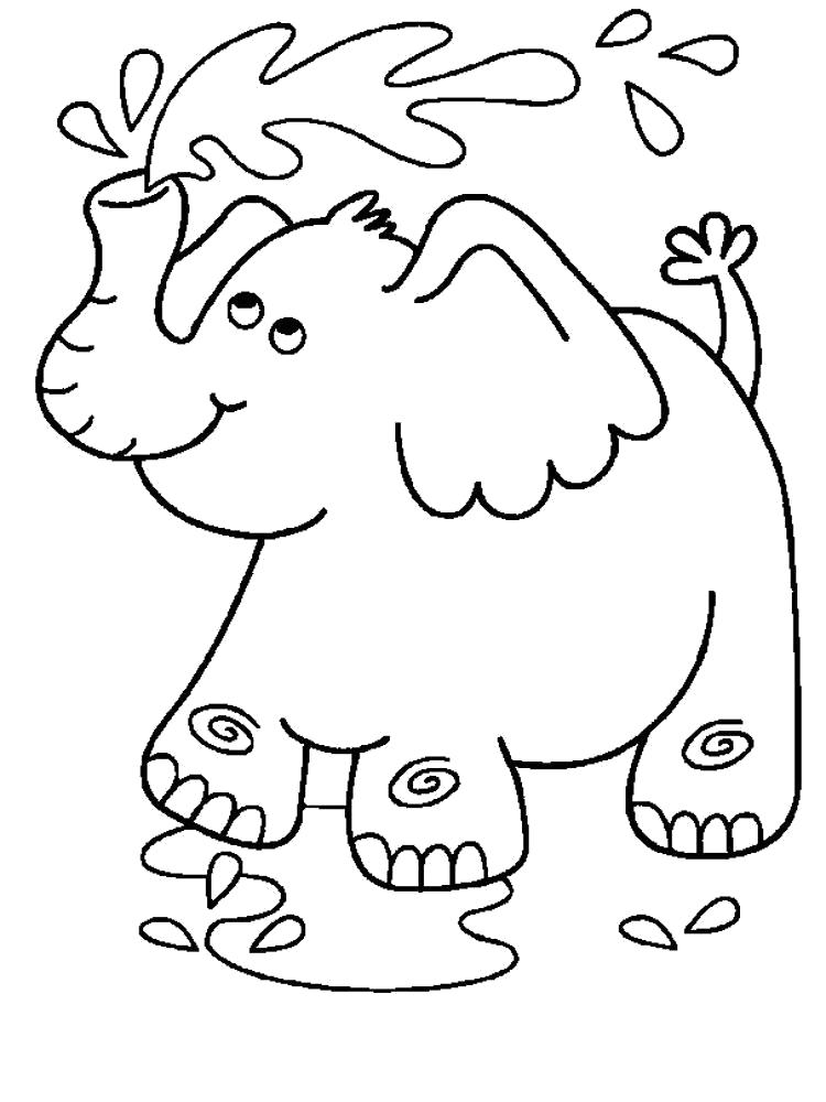 Название: Раскраска Раскраска слон поливает себя из хобота. Категория: слон. Теги: слон.