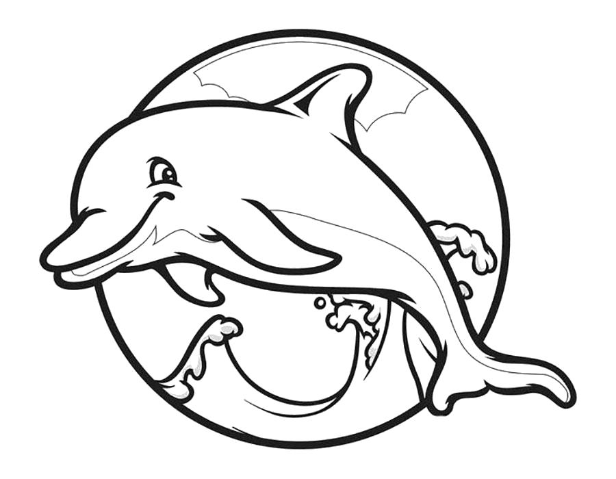 Раскраска Счастливый дельфин. 