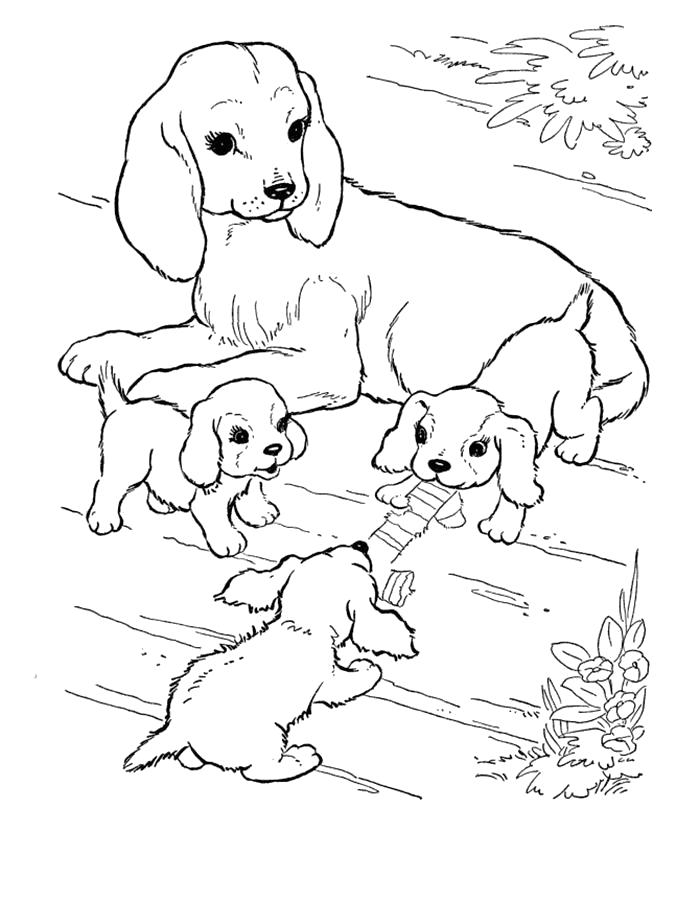 Раскраска Раскраска щенок, мама и щенята. Щенок