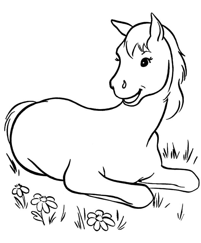 Название: Раскраска раскраска лошадь . Категория: Домашние животные. Теги: Лошадь.