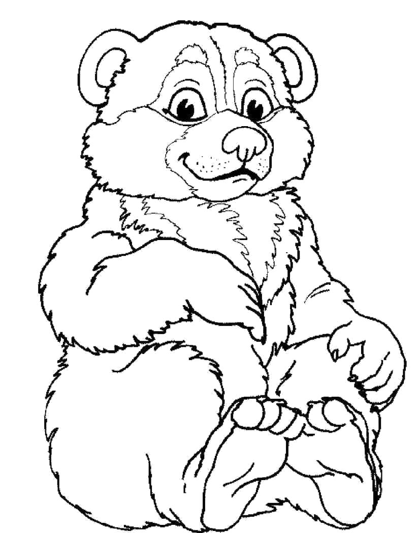 Название: Раскраска смешной медвеженок. Категория: Дикие животные. Теги: медведь.