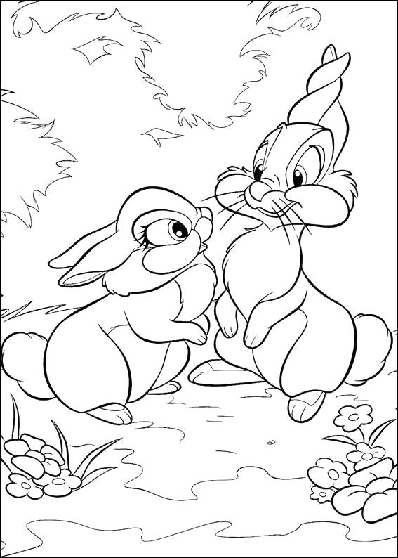 Раскраска Заяц  с подружкой зайчихой. Дикие животные