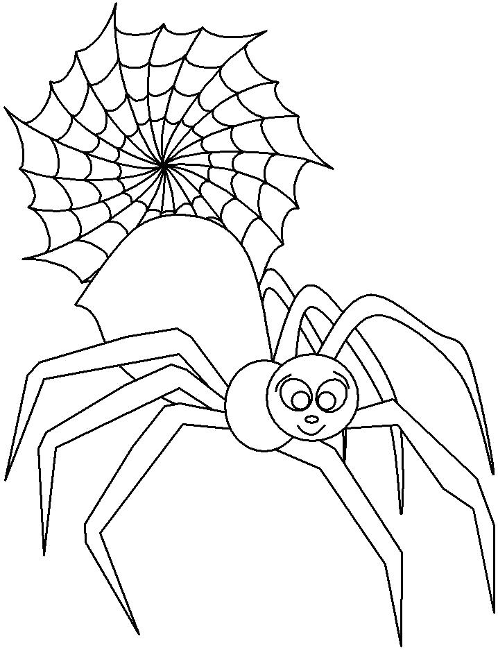 Раскраска Паук около паутины. Насекомые