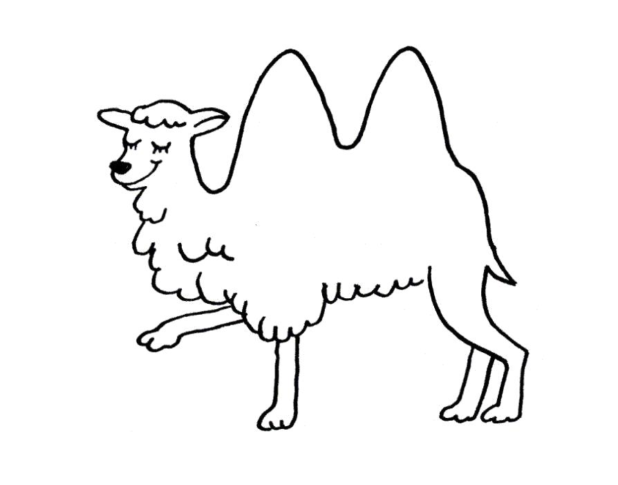 Раскраска Раскраска верблюд для детей двухгорбый верблюд. Верблюд