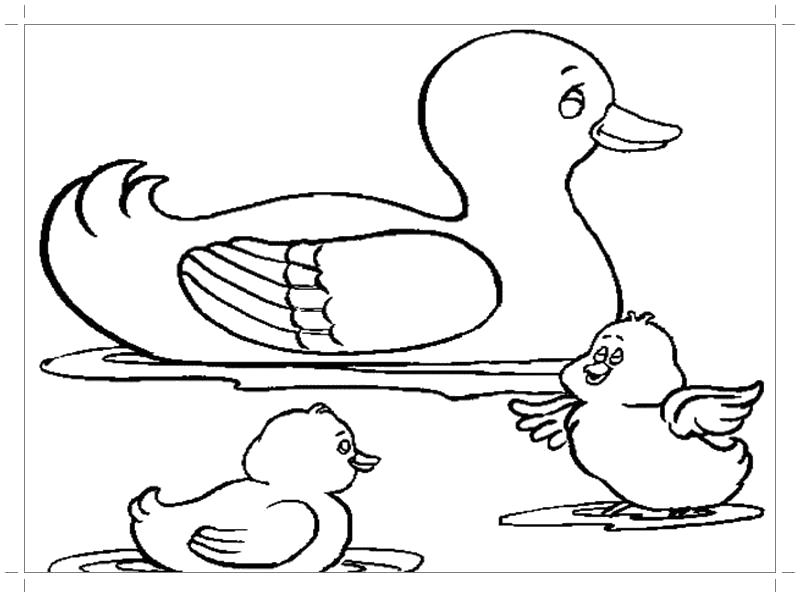 Раскраска Раскраска утка с утятами. Домашние животные