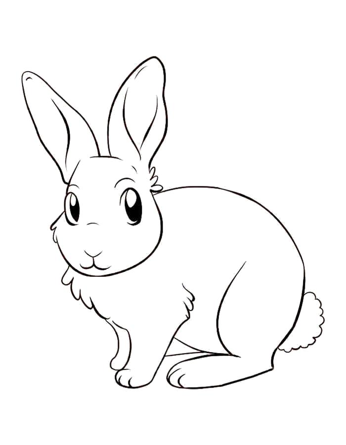 Название: Раскраска Раскраска заяц. Категория: Заяц. Теги: Заяц.