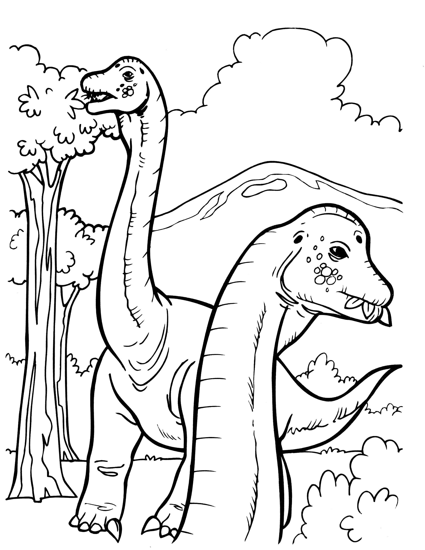 Раскраска Травоядные динозавры. Скачать динозавр.  Распечатать динозавр