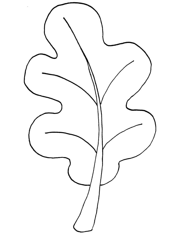 Раскраска дуб. лист